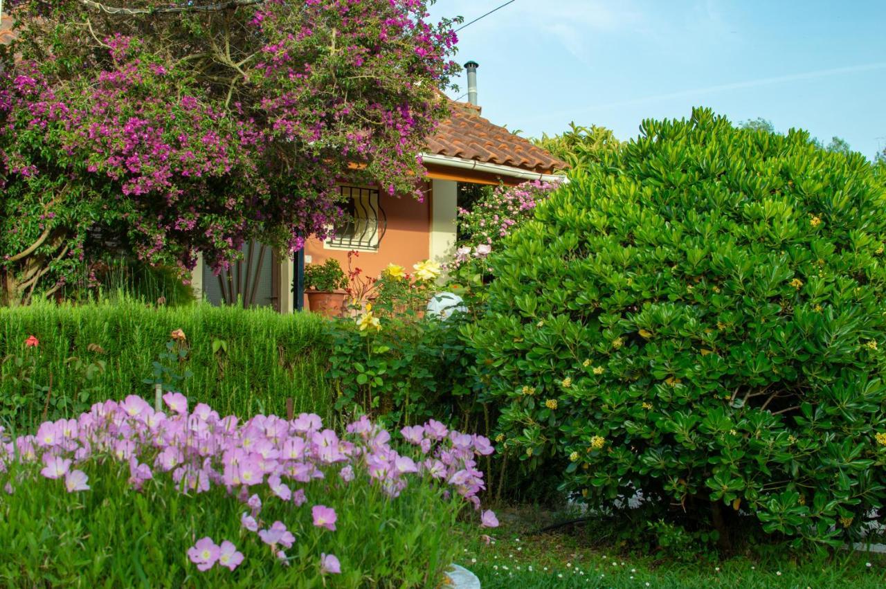 Rose Garden Villa Melikia ภายนอก รูปภาพ